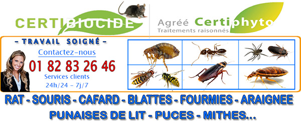 Désinsectisation Mantes la Jolie 78200